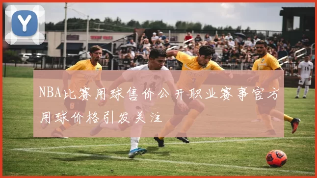 NBA比赛用球售价公开职业赛事官方用球价格引发关注