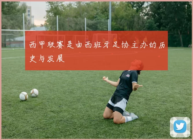 西甲联赛是由西班牙足协主办的历史与发展