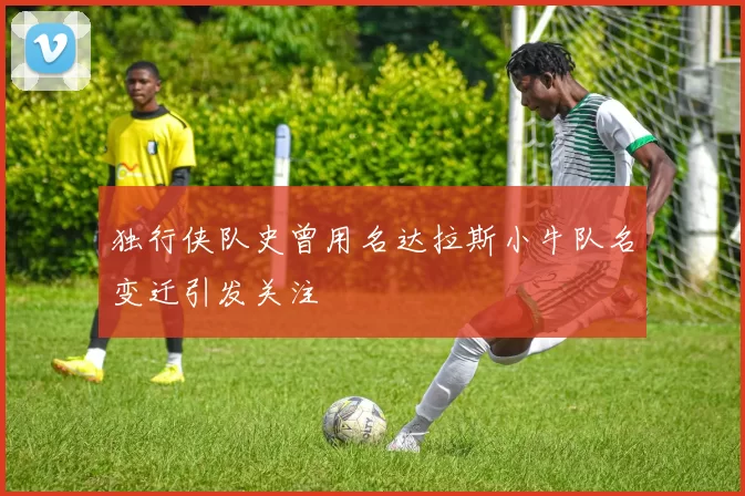 独行侠队史曾用名达拉斯小牛队名变迁引发关注