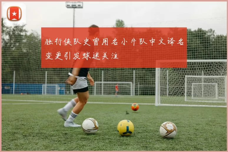 独行侠队史曾用名小牛队中文译名变更引发球迷关注
