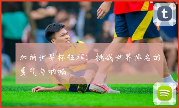 加纳世界杯征程：挑战世界排名的勇气与呐喊