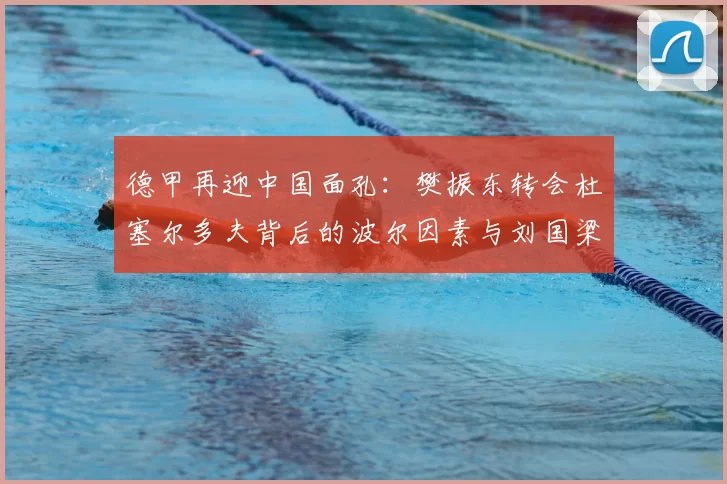 德甲再迎中国面孔：樊振东转会杜塞尔多夫背后的波尔因素与刘国梁的远见_德国_欧冠_年轻人