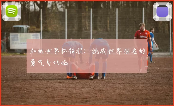 加纳世界杯征程:挑战世界排名的勇气与呐喊