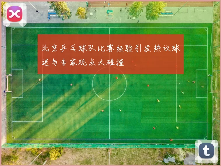 北京乒乓球队比赛经验引发热议球迷与专家观点大碰撞