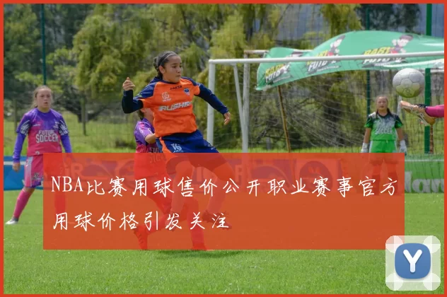 NBA比赛用球售价公开职业赛事官方用球价格引发关注