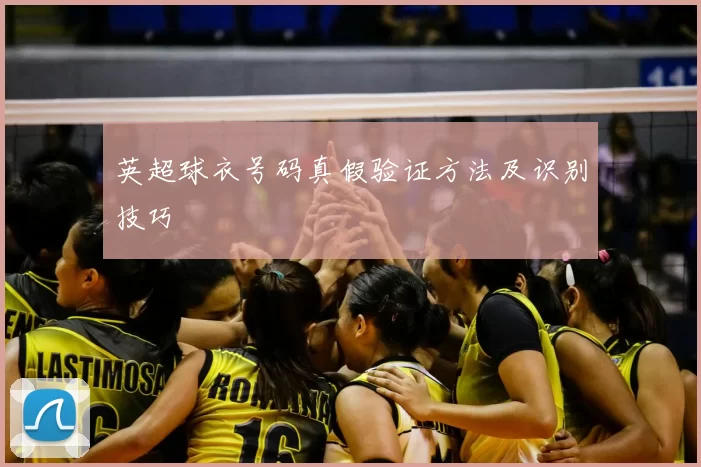 英超球衣号码真假验证方法及识别技巧