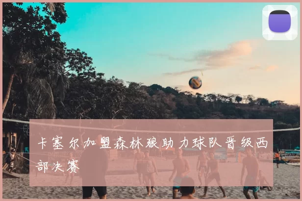 卡塞尔加盟森林狼助力球队晋级西部决赛