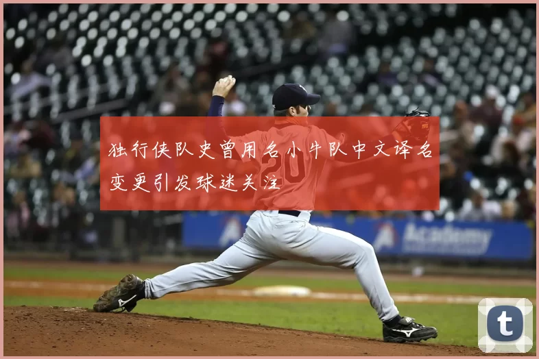 独行侠队史曾用名小牛队中文译名变更引发球迷关注