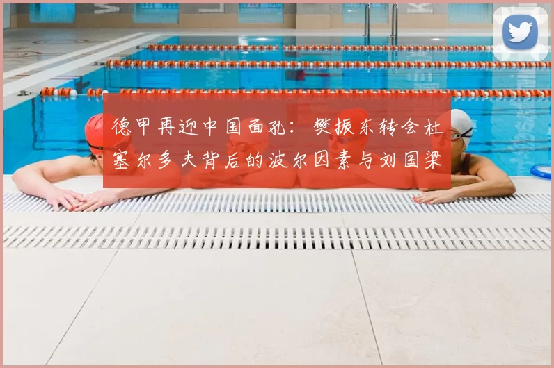 德甲再迎中国面孔：樊振东转会杜塞尔多夫背后的波尔因素与刘国梁的远见