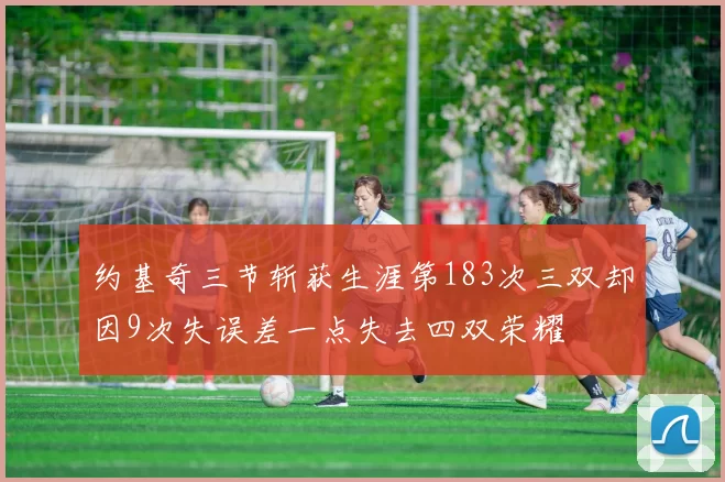 约基奇三节斩获生涯第183次三双却因9次失误差一点失去四双荣耀
