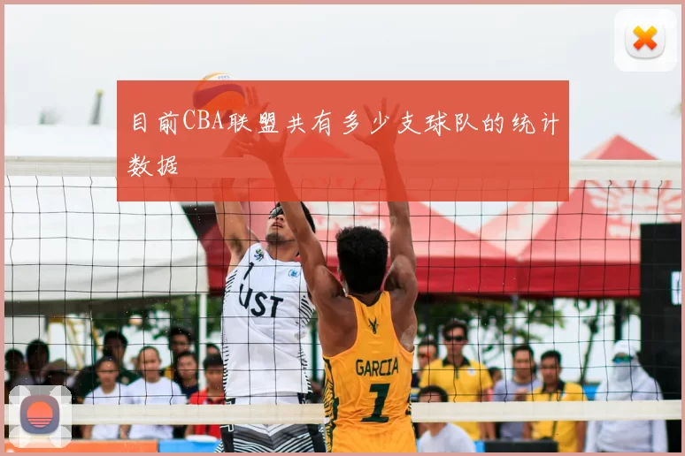 目前CBA联盟共有多少支球队的统计数据