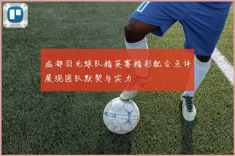 成都羽毛球队精英赛精彩配合点评展现团队默契与实力