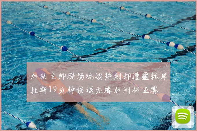 加纳主帅现场观战热刺却遭噩耗库杜斯19分钟伤退无缘非洲杯正赛