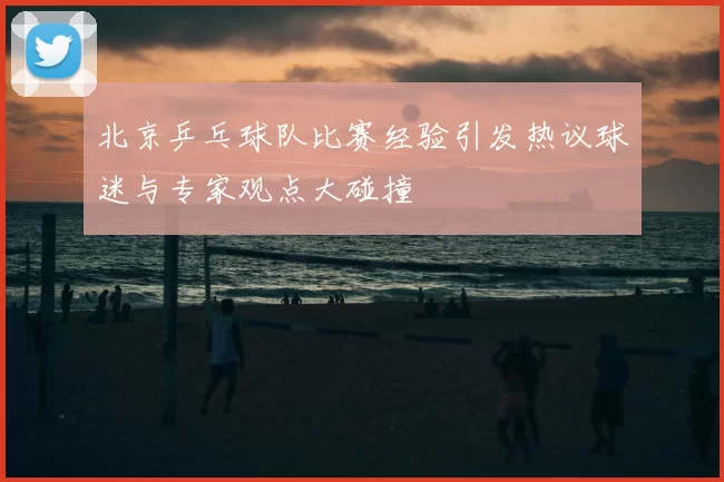 北京乒乓球队比赛经验引发热议球迷与专家观点大碰撞