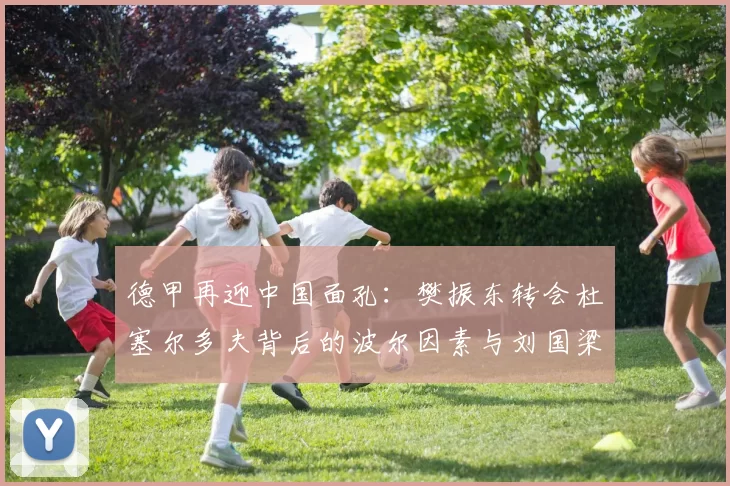 德甲再迎中国面孔：樊振东转会杜塞尔多夫背后的波尔因素与刘国梁的远见