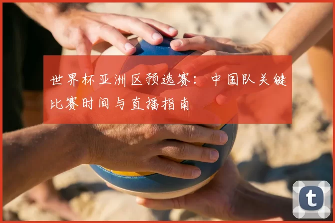 世界杯亚洲区预选赛：中国队关键比赛时间与直播指南