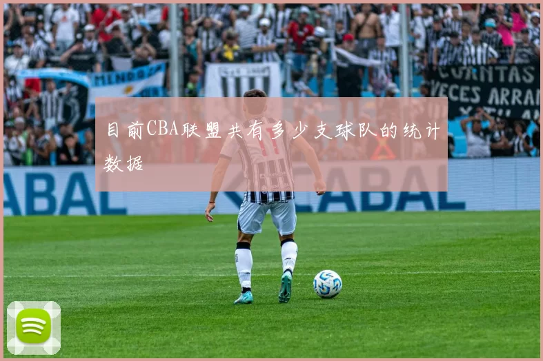 目前CBA联盟共有多少支球队的统计数据