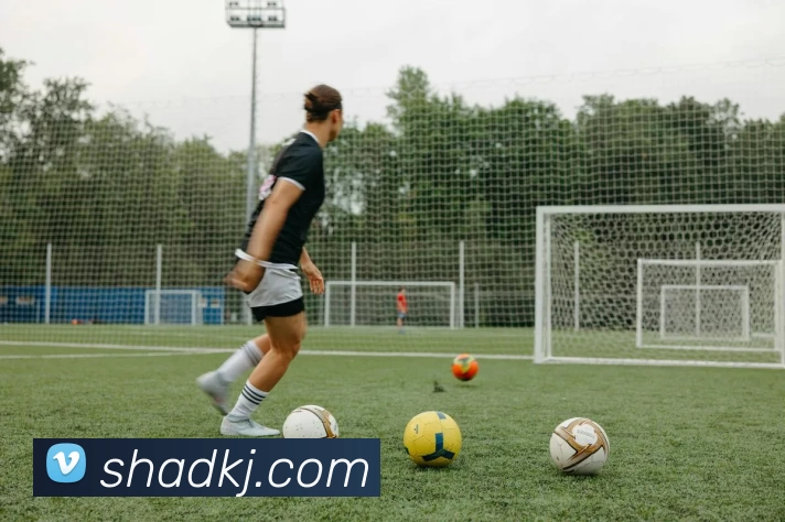 多媒体互动体验